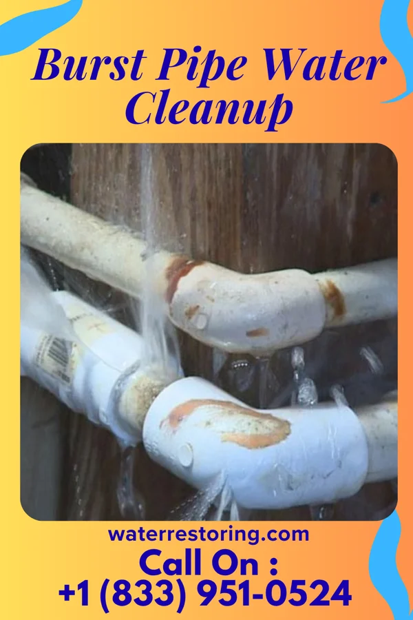Burst Pipe Water Cleanup in Blairstown, MO
