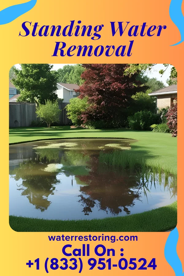 Standing Water Removal in Blairstown, MO
